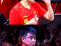 开云体育中国-瑞典乒乓球队轻取法国乒乓球队，王皓绝境逆转的简单介绍