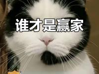 开云体育官网-雄鹿雷霆大战，强强对话谁能笑到最后？的简单介绍