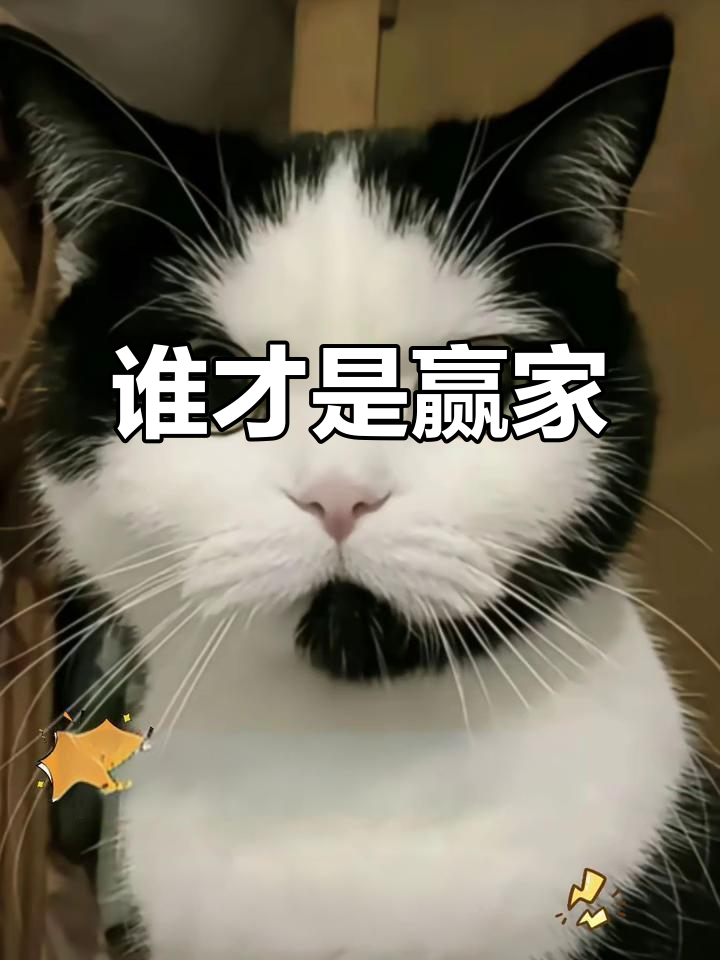 雄鹿雷霆大战,强强对话谁能笑到最后?的简单介绍 雄鹿雷霆大战,强强对话谁能笑到最后?的简单介绍