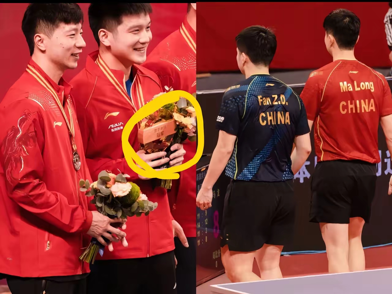 韩国乒乓球队强势日本乒乓球队，马龙送出助攻的简单介绍